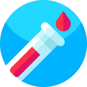 وب اپلیکیشن