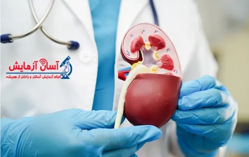 کراتینین خون و دلایل و علایم بالا رفتن آن