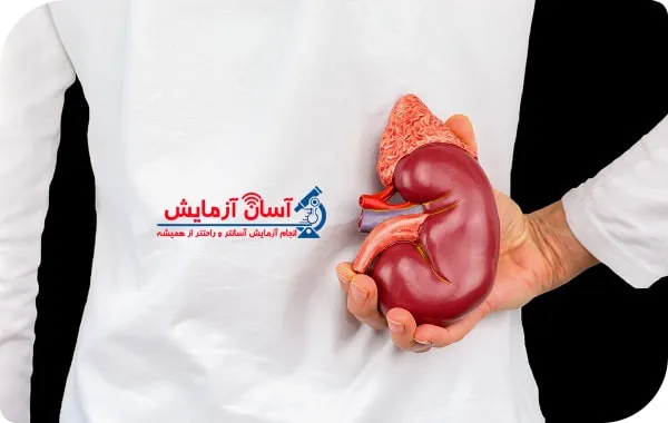 کراتینین خون